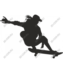  Skateboarder
