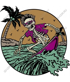  Skeleton surfer