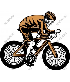  The Skull Of A Cyclist