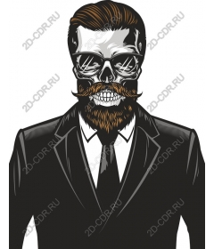  Stylish skull in costume