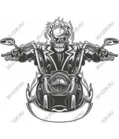  Flame Skull-Rider