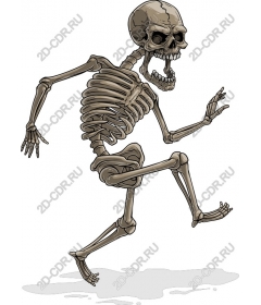 Running skeleton