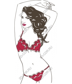  Elegant underwear