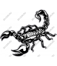  Black and white Scorpio