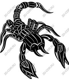 Fierce Scorpio