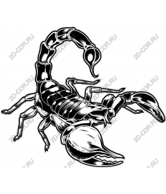  Fierce Scorpio