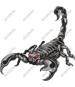  Fierce skeleton Scorpion