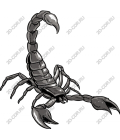  Scorpio
