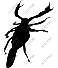  Crab