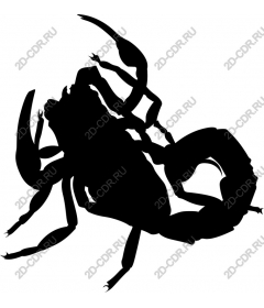  Scorpio