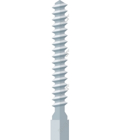 Detailed images screw