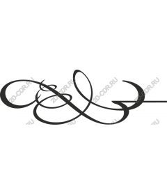  Elegant vortex
