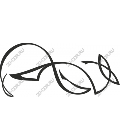  Elegant flowing line