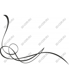 Elegant black whirlwind