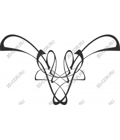  An elegant head of a bull