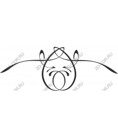  Elegant sleek lines