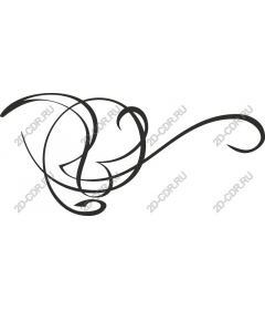  Elegant vortex