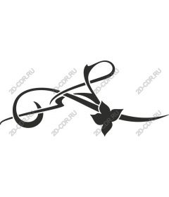  Elegant floral calligraphy