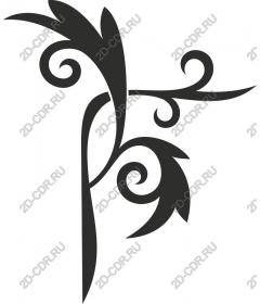  Elegant foliage