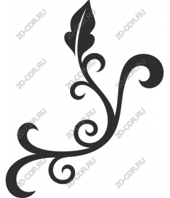  Elegant tendril of the vine