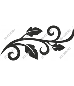  Blooming vine