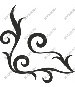  Elegant vortex
