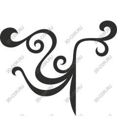  Elegant curl
