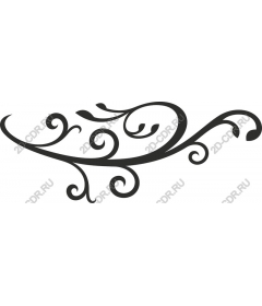  Elegant vortex