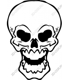  Bold Skull