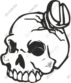  Acute skull with a nail