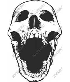  Creepy skull with open mouth