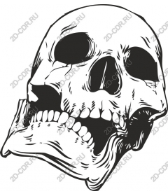 Gothic skull