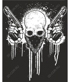 Rebel skull with guns