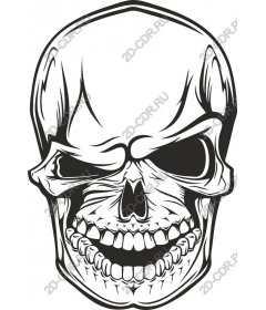 Spicy skull