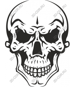  Bold Skull