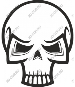  Bold Skull
