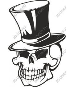  Dapper skull in cylinder
