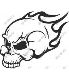  Flaming Skull
