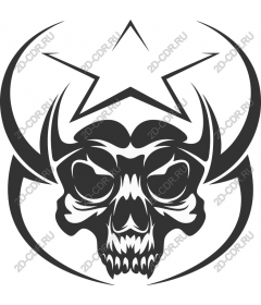  Bold skull and star