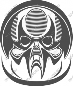 Inspired by skull — a bold monochrome
