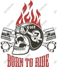  Born to ride Skull and Piston