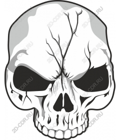 Striking skull