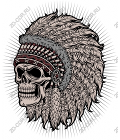 Magnificent skull with Indian headdress