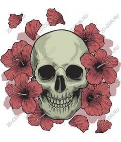  Floral skull