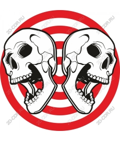  Cool double skull