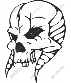 Spicy skull