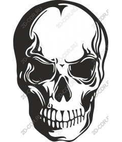  Bold Skull