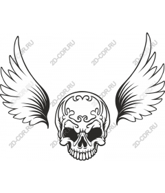 The wings of the night - the Skull and wing