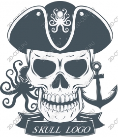 Logo pirate skull