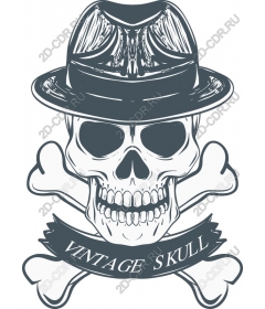 Vintage skull